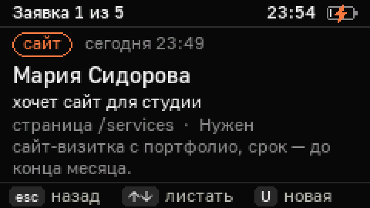 Карточка заявки с сайта